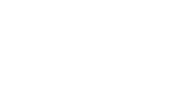 IBS L.L.C.